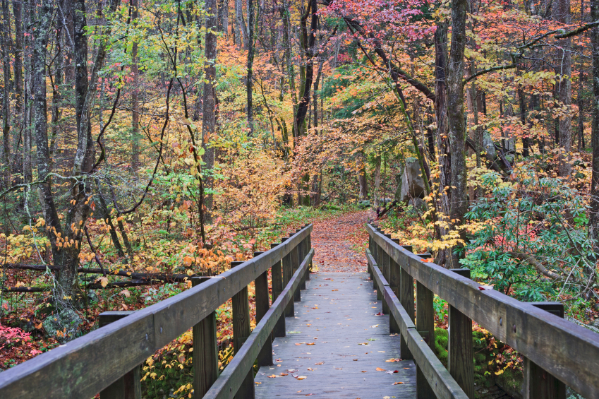 hiking at Creekside Lodge