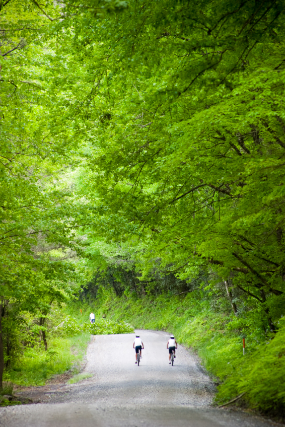 bike trails in maggie valley