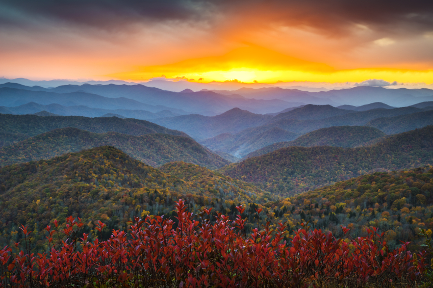 Blueridge Parkway near Creekside Lodge