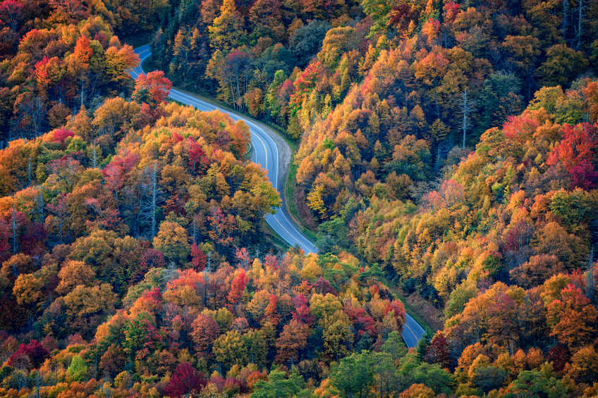 Fall in the Smoky Mountains