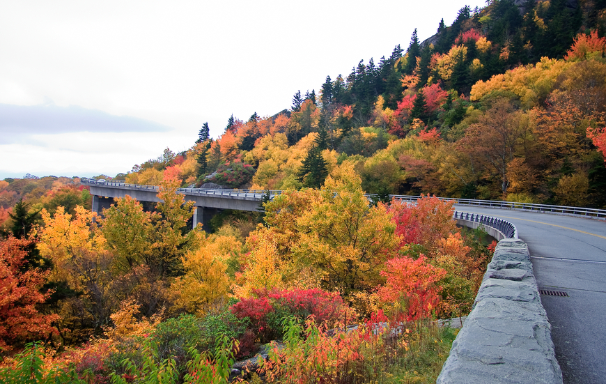 Blue Ridge Parkway in the Fall